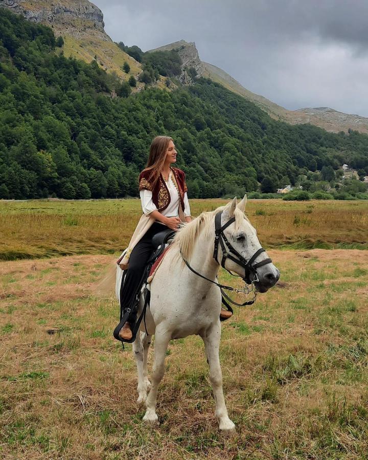 Katun Mokra Accommodation & Horseback Riding 波德戈里察 外观 照片