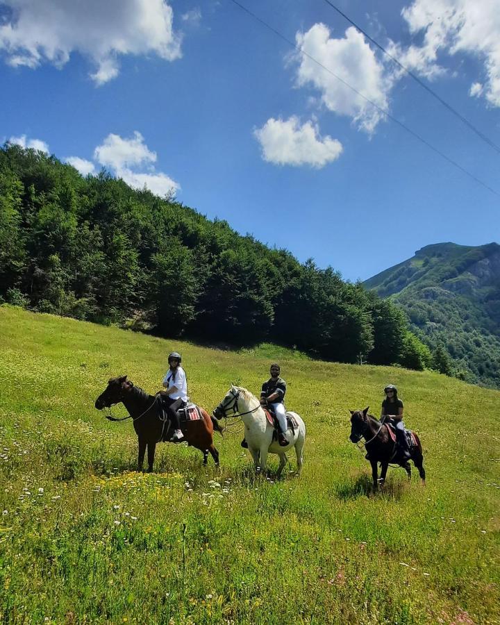 Katun Mokra Accommodation & Horseback Riding 波德戈里察 外观 照片