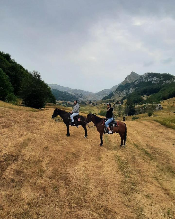 Katun Mokra Accommodation & Horseback Riding 波德戈里察 外观 照片