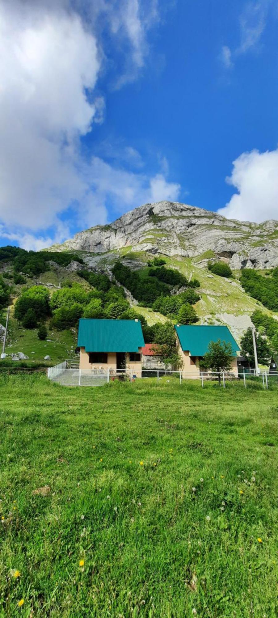 Katun Mokra Accommodation & Horseback Riding 波德戈里察 外观 照片