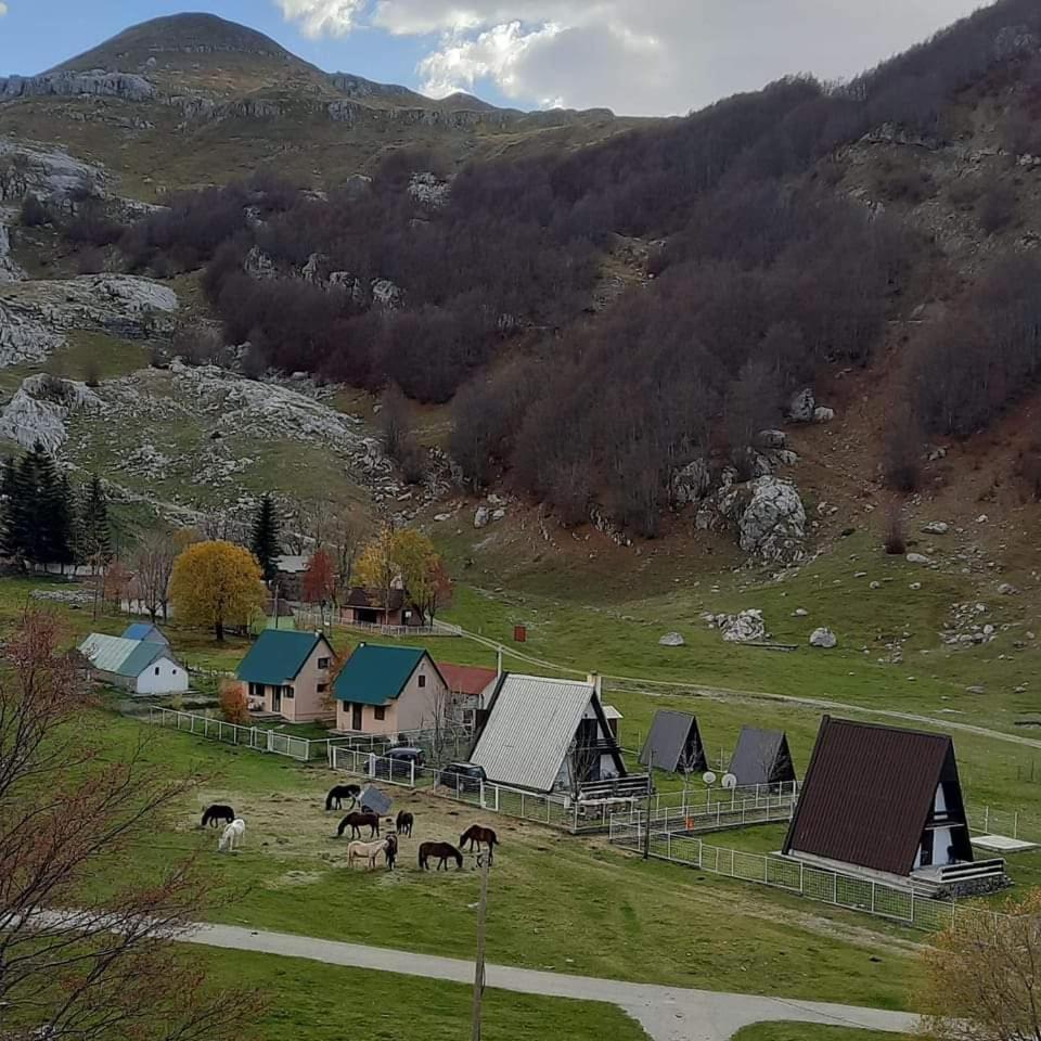 Katun Mokra Accommodation & Horseback Riding 波德戈里察 外观 照片