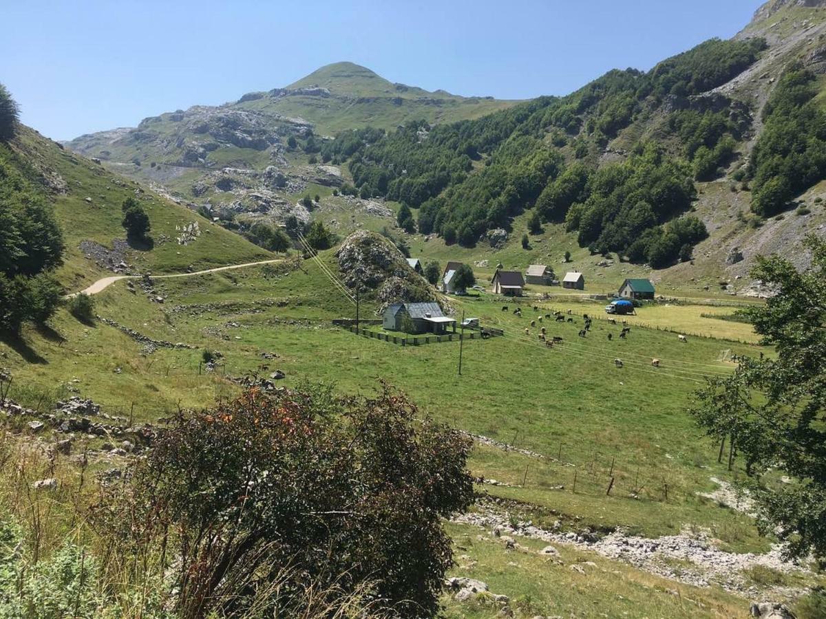 Katun Mokra Accommodation & Horseback Riding 波德戈里察 外观 照片
