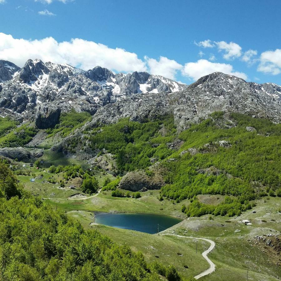 Katun Mokra Accommodation & Horseback Riding 波德戈里察 外观 照片