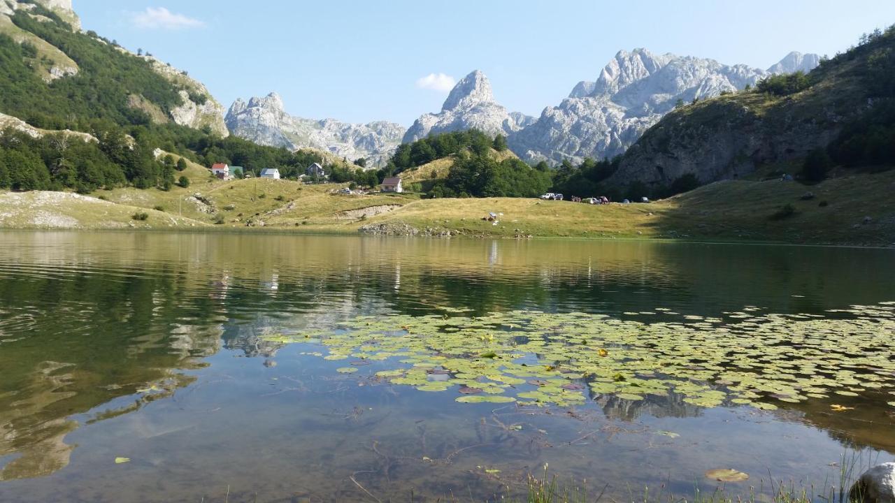 Katun Mokra Accommodation & Horseback Riding 波德戈里察 外观 照片